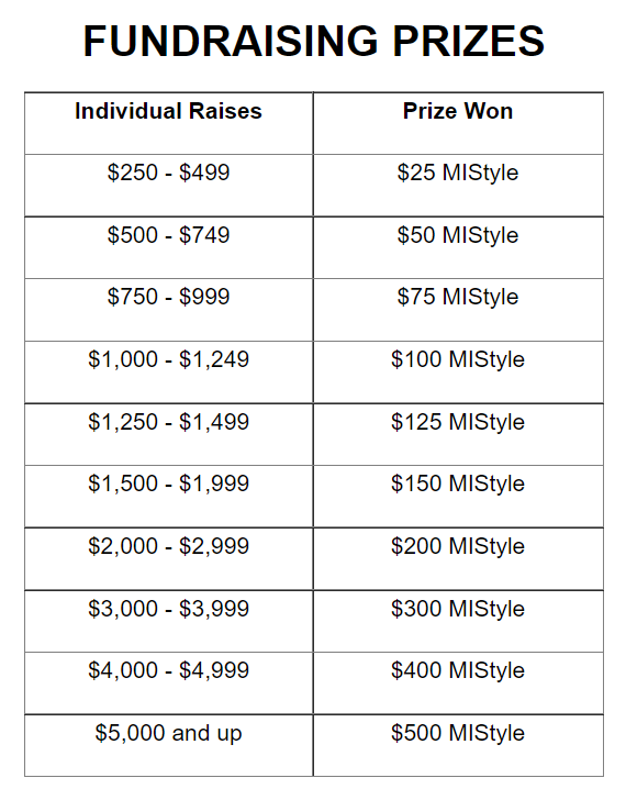 Fundraising Goals Table.png